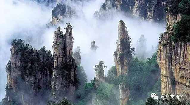 東方龍商務(wù)與張家界經(jīng)濟開發(fā)區(qū)達成委托招商引資合作，助力打造生態(tài)工業(yè)新城