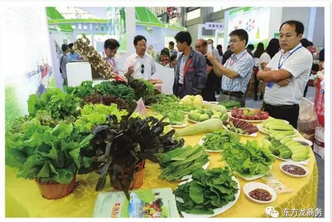 食品電商智慧城全國(guó)布點(diǎn)投資選址項(xiàng)目