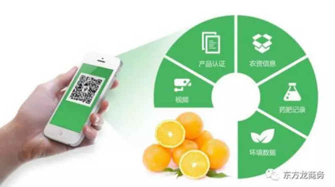 食品電商智慧城全國(guó)布點(diǎn)投資選址項(xiàng)目