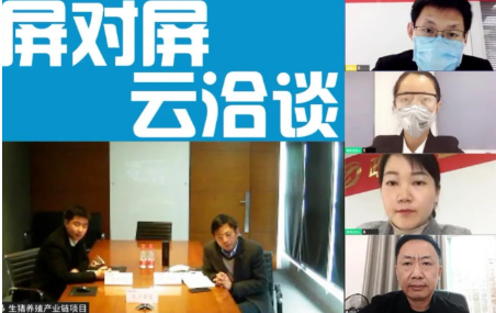 舉行生豬養殖全產業鏈投資選址項目的線上對接會，確保優質項目順利推進