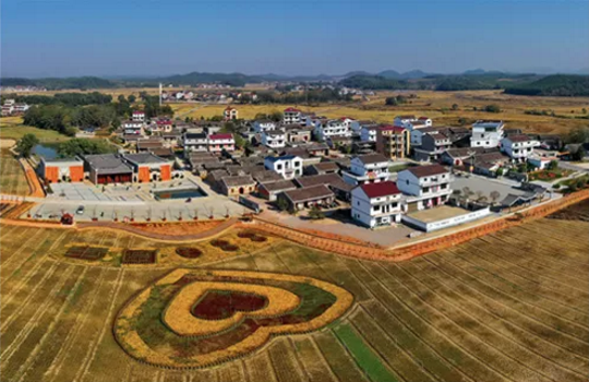 全力助推江西撫州金溪縣委托招商引資，加快建設(shè)現(xiàn)代生態(tài)產(chǎn)業(yè)新城