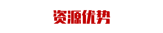集團助力甘肅省金昌經濟技術開發區委托招商引資，推動主導產業轉型發展