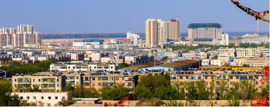 集團助力甘肅省金昌經濟技術開發區委托招商引資，推動主導產業轉型發展