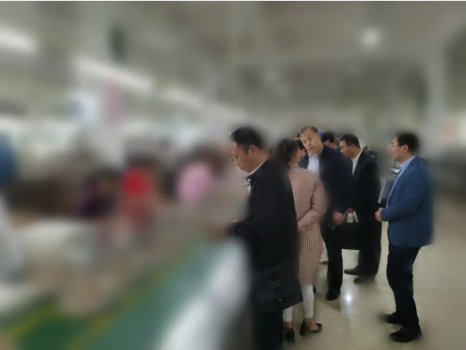 瞄準靶心，精準發力！河北某地方政府成功對接考察亞洲500強鞋服品牌投資選址項目企業