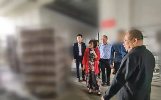 立足匹配優勢，深化政企合作！山西某地方政府成功對接考察食用菌工業種植投資選址項目企業