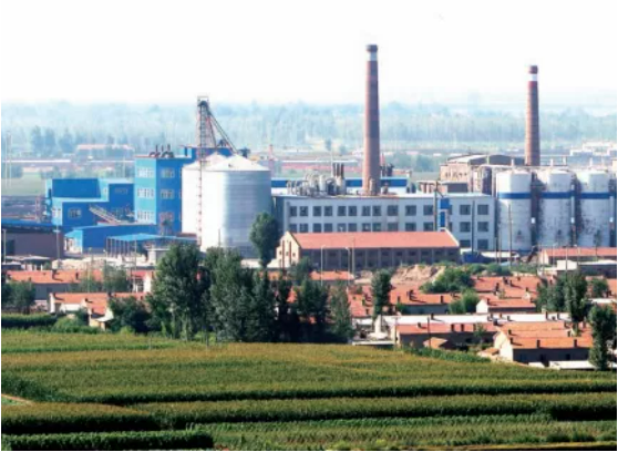 集團全力助推內(nèi)蒙古自治區(qū)通遼市委托招商引資，強勢打造五大產(chǎn)業(yè)集群高質(zhì)量發(fā)展新格局