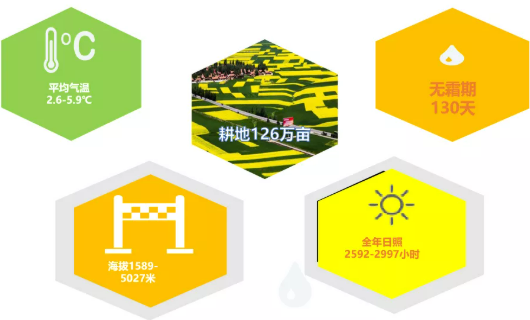 集團全力助推甘肅民樂縣委托招商引資，以“一區五園”打造發展新增長極
