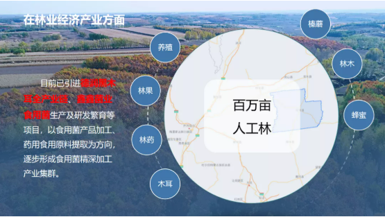 集團全力助推黑龍江齊齊哈爾拜泉縣委托招商引資，立足資源優勢，開辟產業集群高質量發展新高地