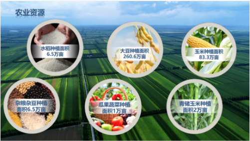 集團全力助推黑龍江齊齊哈爾拜泉縣委托招商引資，立足資源優勢，開辟產業集群高質量發展新高地