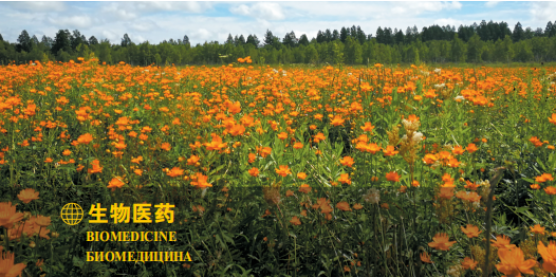 集團全力助推黑龍江大興安嶺委托招商引資，聚力將“冷資源”轉(zhuǎn)化為“熱經(jīng)濟”！