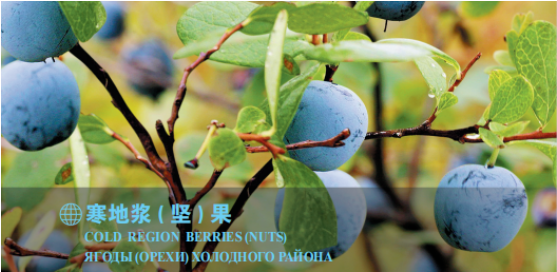 集團全力助推黑龍江大興安嶺委托招商引資，聚力將“冷資源”轉(zhuǎn)化為“熱經(jīng)濟”！
