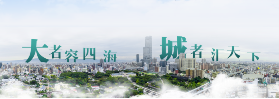 集團全力助推河北廊坊大城縣委托招商引資，招大引強賦能高質量發(fā)展
