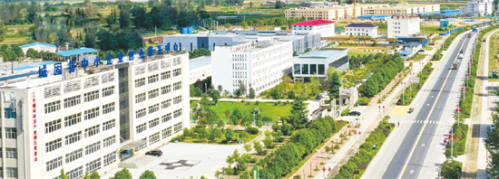 集團(tuán)全力助推陜西省城固縣委托招商引資，打造百億級(jí)產(chǎn)業(yè)集群