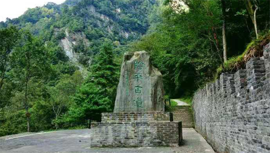 東方龍商務(wù)集團(tuán)全力助推甘肅隴南文縣委托招商招商引資，重點(diǎn)構(gòu)建特色農(nóng)業(yè)、優(yōu)勢工業(yè)、文旅康養(yǎng)三大產(chǎn)業(yè)集群