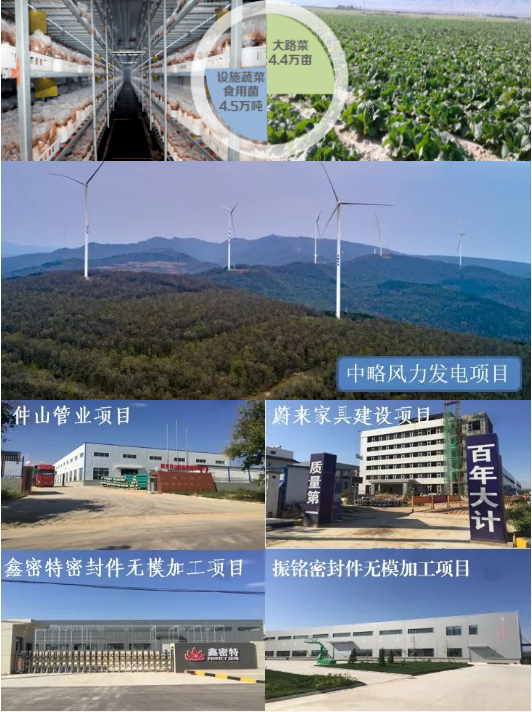 集團全力助推陜西淳化縣委托招商引資，打造優(yōu)勢特色產(chǎn)業(yè)集群