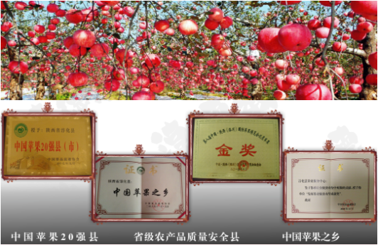 集團全力助推陜西淳化縣委托招商引資，打造優(yōu)勢特色產(chǎn)業(yè)集群