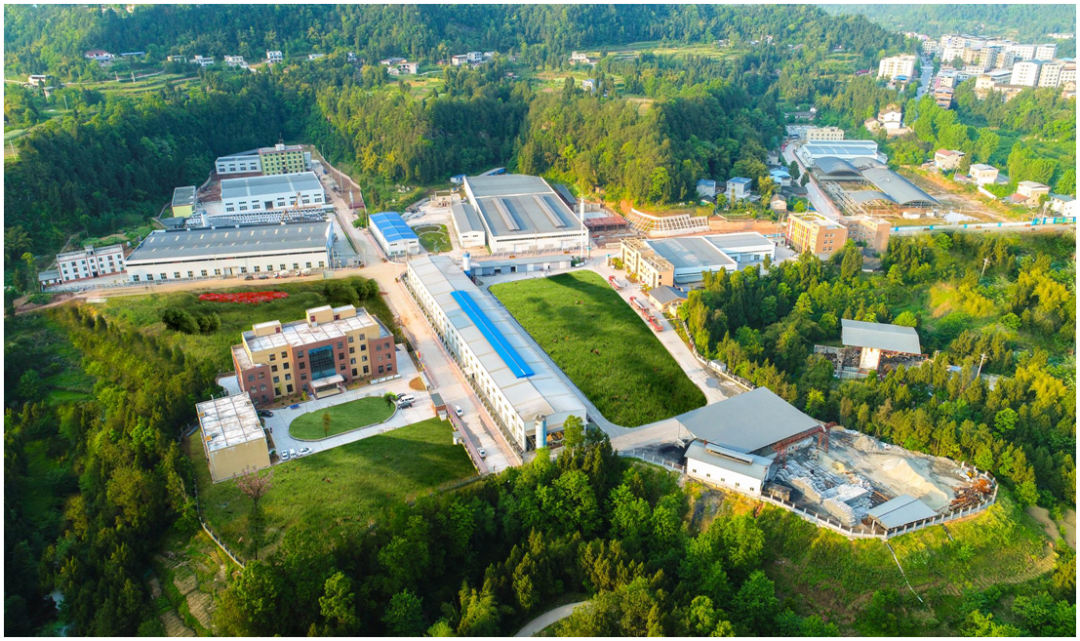 集團全力助推四川巴中恩陽區委托招商引資，全面建設“兩地三區”現代化新恩陽