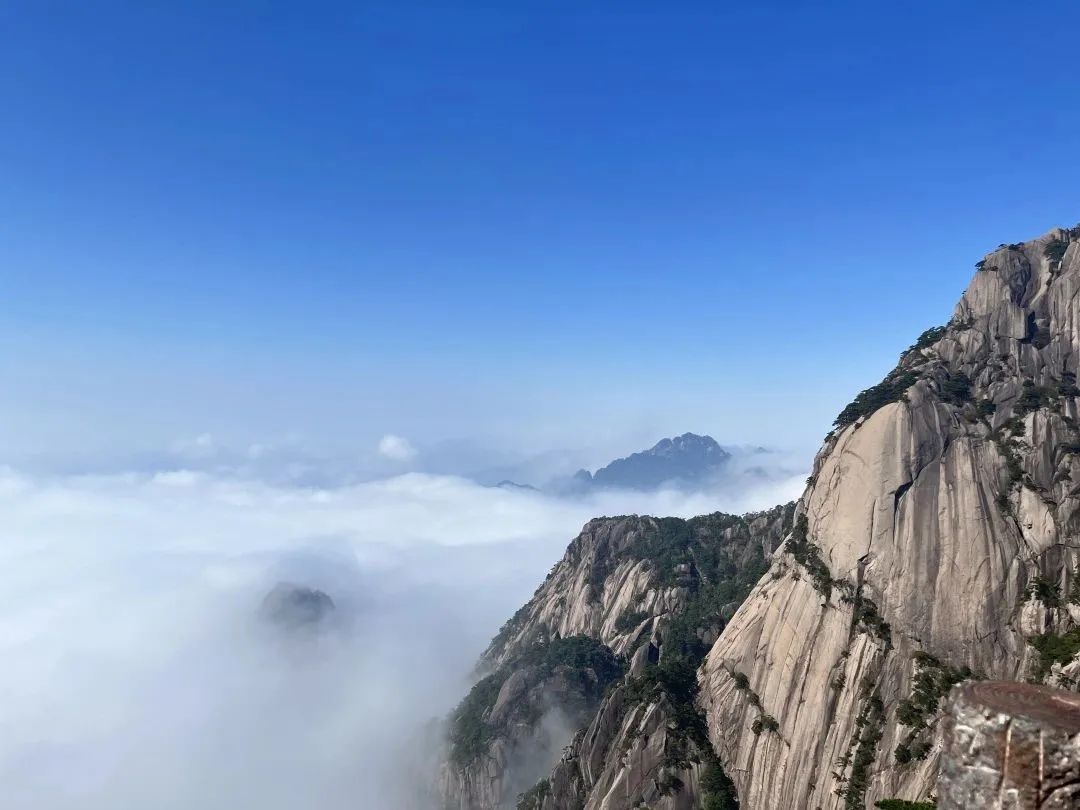 東方龍商務(wù)與春天有個約會！集團100余人赴安徽黃山“團建”，太嗨了！“奔跑二季度”——我們準備好了！