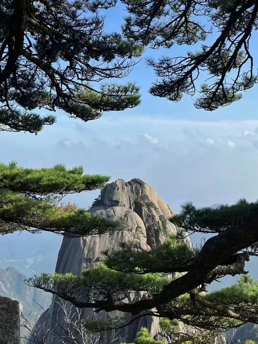東方龍商務(wù)與春天有個約會！集團100余人赴安徽黃山“團建”，太嗨了！“奔跑二季度”——我們準備好了！