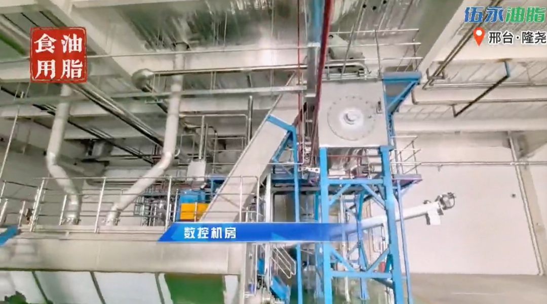 【項目投產】年產1.5萬噸！由上海東方龍商務集團精準推介落戶河北邢臺隆堯的動物油脂深加工投資選址項目投產！