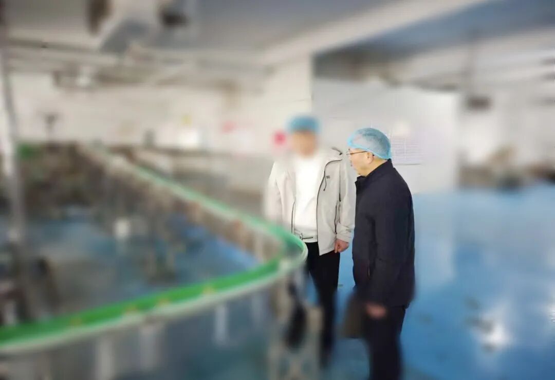 市場增長迅猛，產品矩陣多元！江蘇某地方政府實地對接品牌休閑寵物食品生產基地擴建投資選址項目