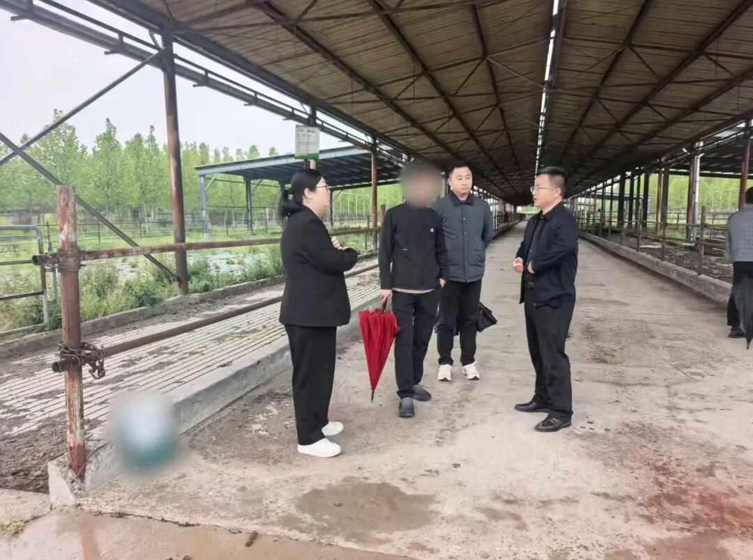 農業產業化國家重點龍頭企業！品牌肉牛產業鏈擴建投資選址項目方實地對接考察河南某地方政府
