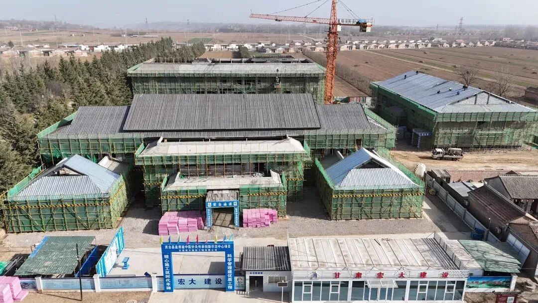 傳承皇甫謐中醫針灸文化　靈臺這一康養項目建得咋樣了